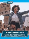 Cover image for Feminism and Gender Equality
